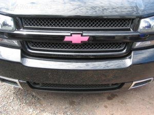 Bowtie Overlay (Front)