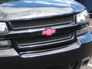 Bowtie Overlay (Front)