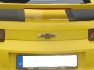 Bowtie Overlay (Rear)