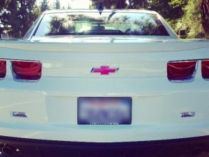 Bowtie Overlay (Rear)