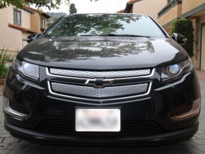 Bowtie Overlay (Front)