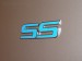 "SS" Door Badge Inlays