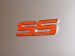 "SS" Door Badge Inlays