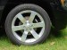 "SS" Caliper Decals